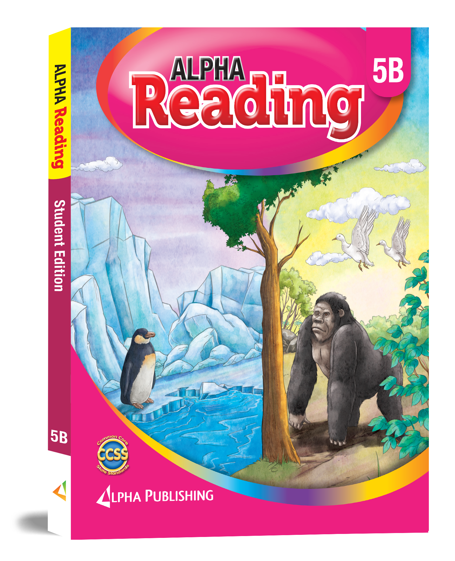 KG Reading